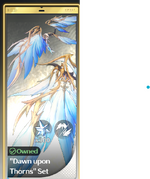 17.png