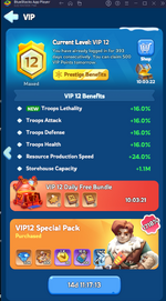 vip level.png