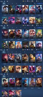6_BasicSkin.jpg
