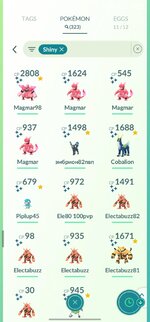 Screenshot_20251104_134752_Pokmon GO.jpg