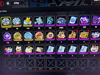 z5.jpg