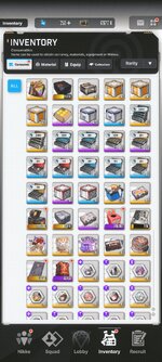 Screenshot_2025-11-09-23-24-21-411_com.proximabeta.nikke.jpg