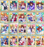 SR1.png