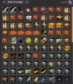 bdo costume.png