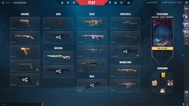 Collection.jpg