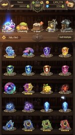 IMG_2600.jpeg