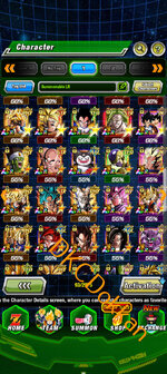 Screenshot_20251113-192002.Dokkan.jpg