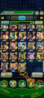 Screenshot_20251113-192008.Dokkan.jpg