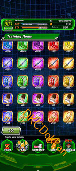 Screenshot_20251113-192105.Dokkan.jpg
