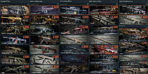 skinguns.png