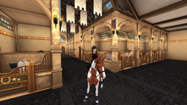 StarStable 2025-11-24 11-10-57.png