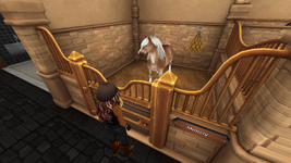 StarStable 2025-11-24 11-14-21.png