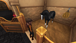 StarStable 2025-11-24 11-14-54.png