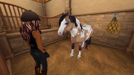StarStable 2025-11-24 11-15-03.png