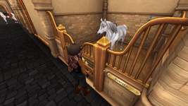 StarStable 2025-11-24 11-15-40.png