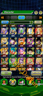 Screenshot_20251128-144618.Dokkan.jpg