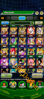 Screenshot_20251128-144623.Dokkan.jpg