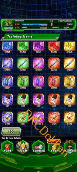 Screenshot_20251128-144847.Dokkan.jpg
