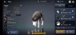 pet 2.jpg