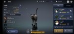 pet 3.jpg