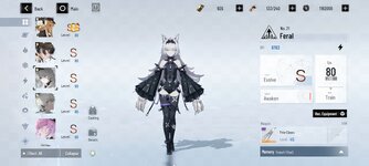 Screenshot_2025-12-06-13-37-17-941_com.kurogame.gplay.punishing.grayraven.en.jpg