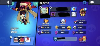 In Game - Profile.jpg