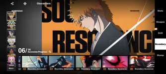 Screenshot_BLEACH_ Soul Resonance_20251207_173303.jpg