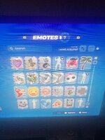 IMG_7967.jpeg