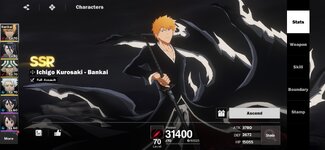 BLEACH Soul Resonance_2025-12-16-20-56-08.jpg