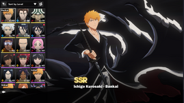 bsr.png
