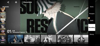 Screenshot_20251224-183341_BLEACH Soul Resonance.jpg
