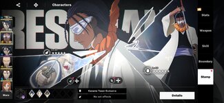 Screenshot_20251224-183440_BLEACH Soul Resonance.jpg