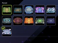 1 Duel Field.jpg