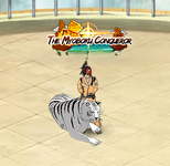1.PNG