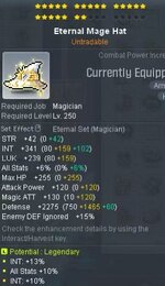 Eternal hat.jpg