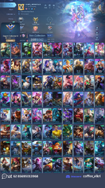 skins.png
