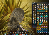 pve.png