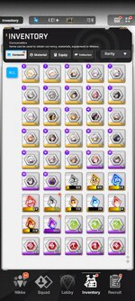 Screenshot_2025-10-06-19-10-08-150_com.proximabeta.nikke.jpg