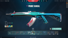 11.png