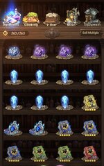 IMG_9032.jpeg