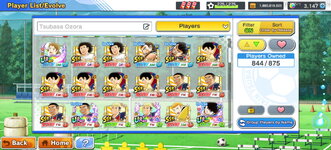 players6.jpg