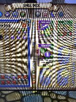 IMG_0814.jpeg