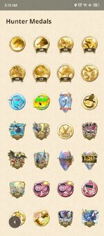 12. medals.jpg