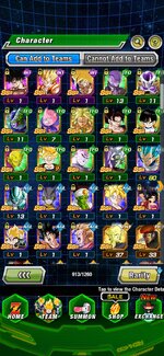 Screenshot_20260124_143802_Dokkan.jpg