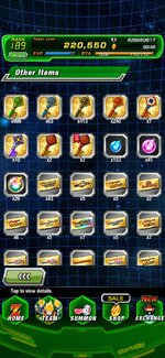 Screenshot_20260125_144909_Dokkan.jpg