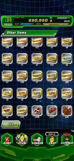 Screenshot_20260125_144912_Dokkan.jpg