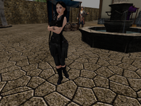 Snapshot_2026-02-01_191355_001.png
