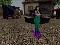 Snapshot_2026-02-01_191613_001.png
