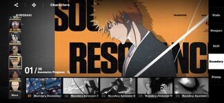Screenshot_20260206_191606_BLEACH Soul Resonance.jpg