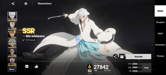 Screenshot_20260219_212551_com_bleach_apj_UnityPlayerActivity.jpg